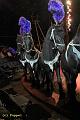IMG_5837 aa